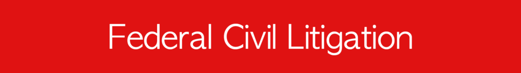 Federal_Civil_Litigation